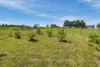330 Sugarloaf Road, Carlton River, Tas 7173-Image