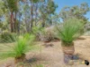 330 Warrigal Way, Chidlow, WA 6556-Image