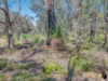 330 Warrigal Way, Chidlow, WA 6556-Image