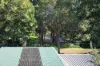 330 Young Street, Annandale NSW 2038-Image