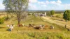 331 Scrub Road, Theebine, Qld 4570-Image
