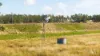 331 Scrub Road, Theebine, Qld 4570-Image