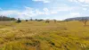 331 Scrub Road, Theebine, Qld 4570-Image