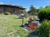 332 Old Shirley Road, Beaufort, Vic 3373-Image