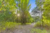 333 Cootharaba Road, Cootharaba, Qld 4565-Image