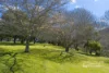 334 Huntsman Road, Meander, Tas 7304-Image