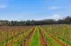 334 Osmington Road, Bramley, WA 6285-Image