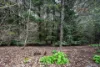334 Upper Natone Road, Natone, Tas 7321-Image