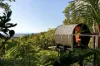 335 Repeater Station Road, Springbrook, Qld 4213-Image