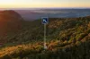 335 Repeater Station Road, Springbrook, Qld 4213-Image