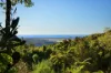 335 Repeater Station Road, Springbrook, Qld 4213-Image