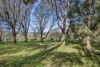 336 Barkers Road, Main Ridge, Vic 3928-Image