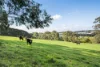 336 Barkers Road, Main Ridge, Vic 3928-Image