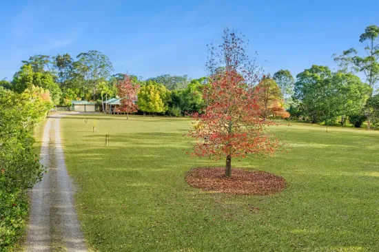 336 Logans Crossing Road, Logans Crossing, NSW 2439