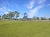 337 Linthorpe Valley Road, Linthorpe, Qld 4356-Image