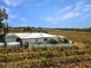 337 Noble Road, Golden Heights, SA 5322-Image