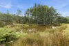 338 Dulcia Road, Gordon, Tas 7150-Image
