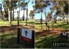 339 Carrington Street, Adelaide, SA 5000-Image