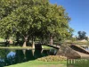 339 Carrington Street, Adelaide, SA 5000-Image