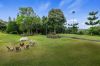 339, Flaxton QLD 4560-Image