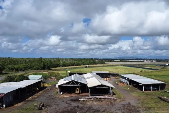 339 Flying Fish Point Road, Eaton, Qld 4860