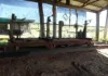 339 Flying Fish Point Road, Eaton, Qld 4860-Image
