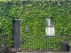 339 Napier Street, Fitzroy, Vic 3065-Image
