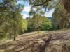 34-36 William Street, Bulli, NSW 2516-Image