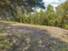 34-36 William Street, Bulli, NSW 2516-Image
