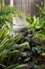 34 Acland Drive, Strathpine, Qld 4500-Image