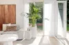 34 Alberto Street, Lilyfield, NSW 2040-Image
