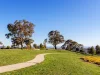 34 Anna Morgan Circuit, Bonner, ACT 2914-Image