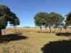 34 Bellottis Rd, Tablelands, Qld 4605-Image