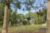 34 Bridson Street, Bassendean, WA 6054-Image