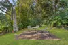 34 Centenary Drive, Maleny, Qld 4552-Image
