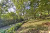 34 Centenary Drive, Maleny, Qld 4552-Image