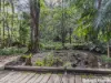 34 Chevell Place, Smiths Creek, NSW 2484-Image
