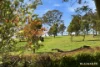 34 Clancy McKenna Crescent, Bonner, ACT 2914-Image