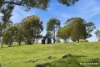 34 Clancy McKenna Crescent, Bonner, ACT 2914-Image