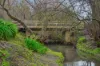 34 Clems Lane, Littlehampton, SA 5250-Image