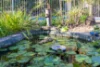 34 Deborah Road, Howard Springs, NT 0835-Image