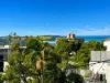 34 Delmar Parade, Dee Why, NSW 2099-Image