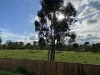 34 Edinburgh Crescent, Gleneagle, Qld 4285-Image
