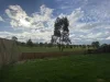 34 Edinburgh Crescent, Gleneagle, Qld 4285-Image