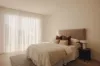 34 Edith Street, Leichhardt, NSW 2040-Image