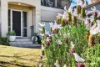 34 Endeavour Avenue, Lilli Pilli, NSW 2536-Image