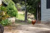 34 Evans Road, Black Mountain, Qld 4563-Image