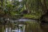 34 Evans Road, Black Mountain, Qld 4563-Image