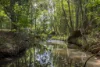 34 Evans Road, Black Mountain, Qld 4563-Image