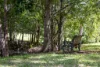 34 Evans Road, Black Mountain, Qld 4563-Image